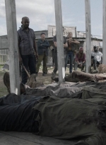 ftwd516_1365.jpg