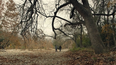 ftwd601_scnet_1320.jpg