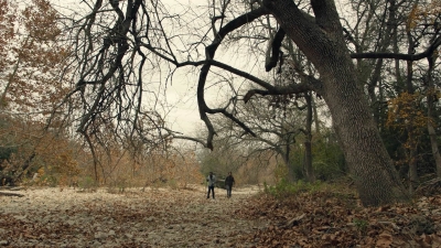 ftwd601_scnet_1321.jpg