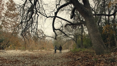 ftwd601_scnet_1324.jpg