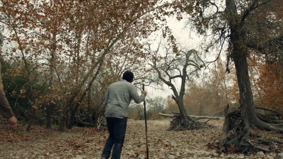 ftwd601_scnet_1450.jpg