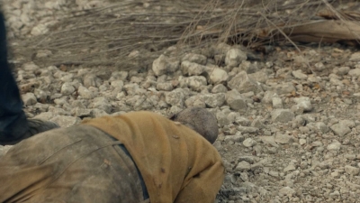 ftwd601_scnet_1650.jpg