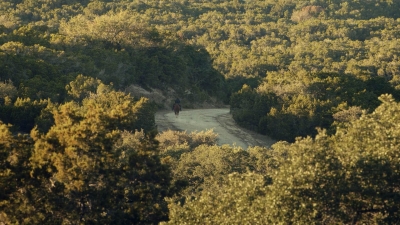 ftwd601_scnet_2534.jpg
