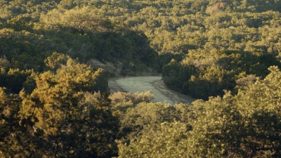 ftwd601_scnet_2536.jpg