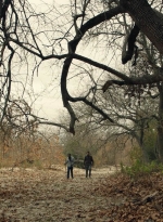 ftwd601_scnet_1323.jpg