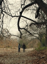 ftwd601_scnet_1327.jpg