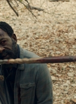ftwd601_scnet_1375.jpg