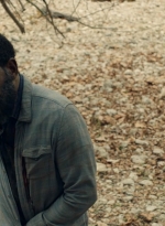 ftwd601_scnet_1388.jpg