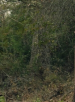 ftwd601_scnet_1408.jpg