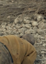 ftwd601_scnet_1650.jpg