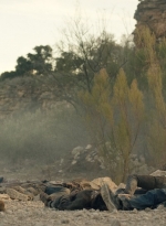 ftwd601_scnet_1681.jpg