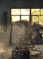 ftwd601_scnet_1775.jpg