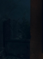 ftwd601_scnet_1885.jpg