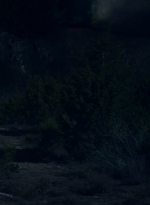 ftwd601_scnet_1951.jpg