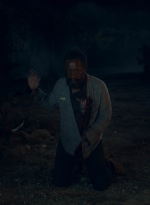 ftwd601_scnet_1981.jpg