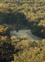 ftwd601_scnet_2533.jpg