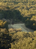 ftwd601_scnet_2534.jpg