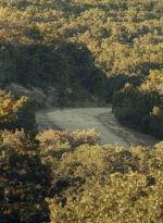 ftwd601_scnet_2537.jpg