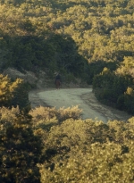 ftwd601_scnet_2539.jpg