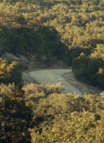 ftwd601_scnet_2540.jpg