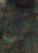 ftwd606_scnet_0751.jpg