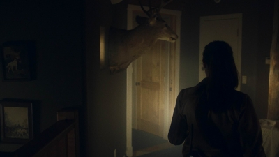 ftwd607_scnet_0700.jpg