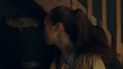 ftwd607_scnet_2243.jpg