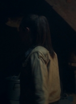 ftwd607_scnet_1217.jpg