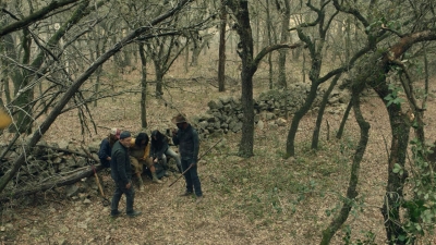ftwd610_scnet_1876.jpg