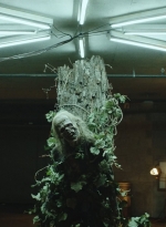 ftwd611_scnet_1782.jpg