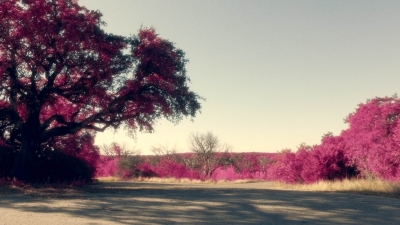 ftwd612_scnet_1449.jpg