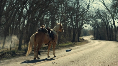 ftwd613_scnet_0657.jpg