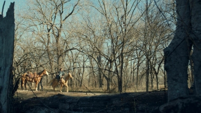 ftwd613_scnet_0745.jpg