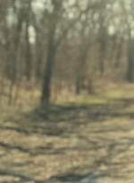 ftwd613_scnet_0740.jpg