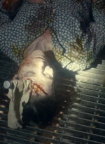ftwd615_scnet_1757.jpg
