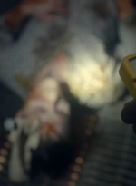 ftwd615_scnet_1758.jpg