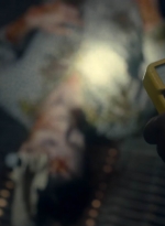 ftwd615_scnet_1759.jpg