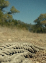 ftwd616_scnet_0878.jpg