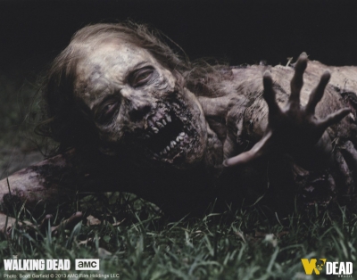 The Walking Dead 1ª Temporada
