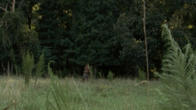 twd2x05_0841.jpg