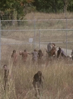 twd315-000435.jpg