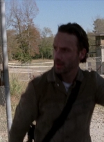 twd315-000445.jpg