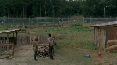 thewalkingdead0402-2696.jpg