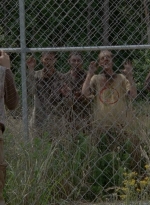 thewalkingdead0402-2512.jpg