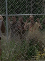 thewalkingdead0402-2513.jpg