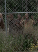 thewalkingdead0402-2514.jpg