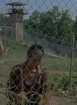 thewalkingdead0402-2551.jpg