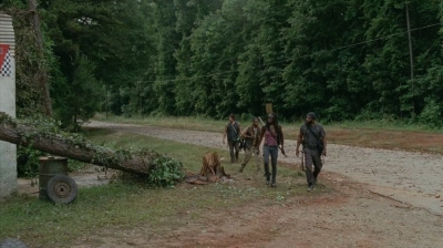 thewalkingdead0404-0445.jpg