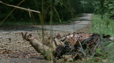 thewalkingdead0405-0032.jpg