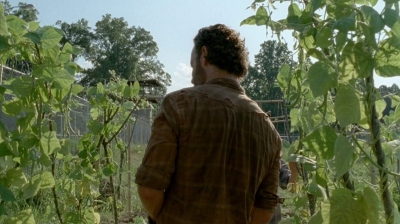 thewalkingdead0405-2092.jpg